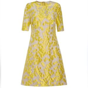 Lela Rose Holly Yellow Floral Fit and Flare Dress 2 Women’s Short Sleeves